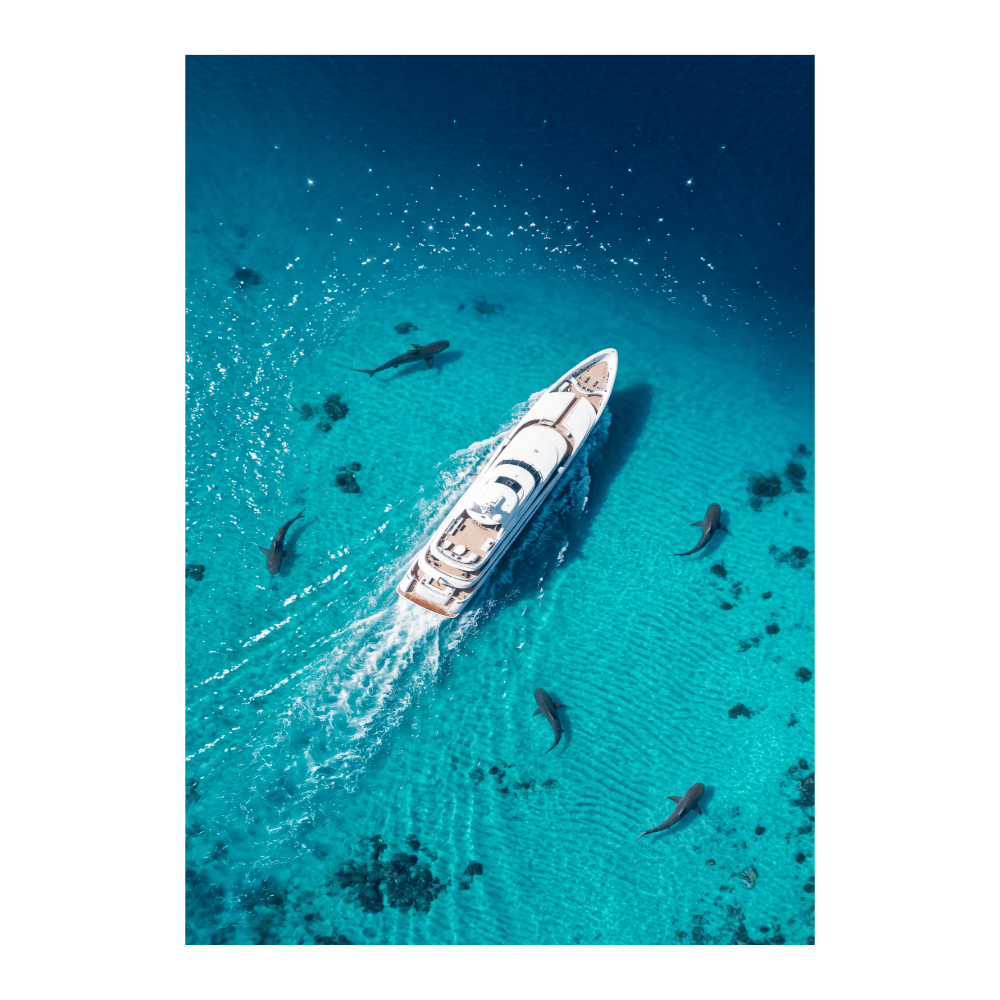 Predator Patrol Superyacht