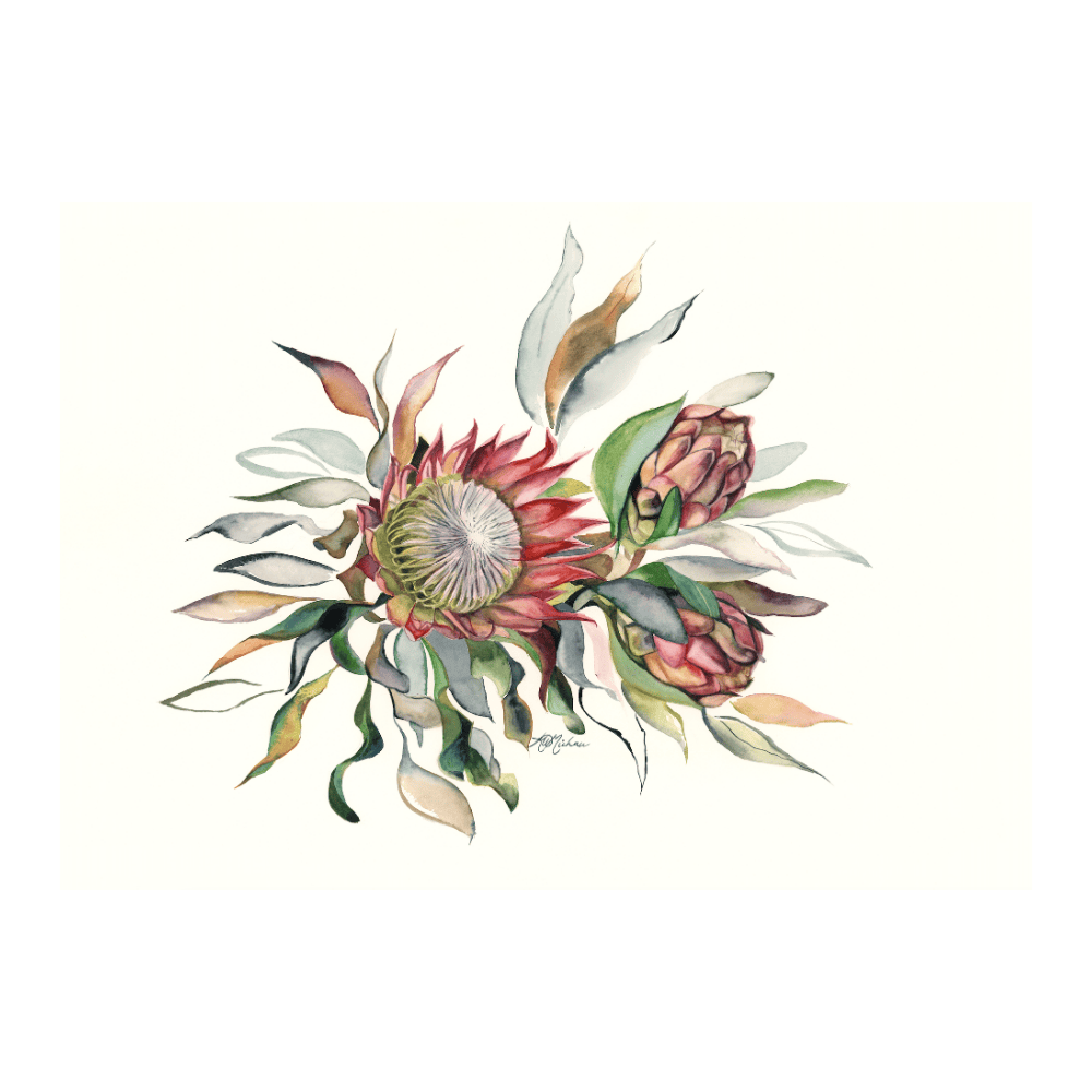 Proteas II