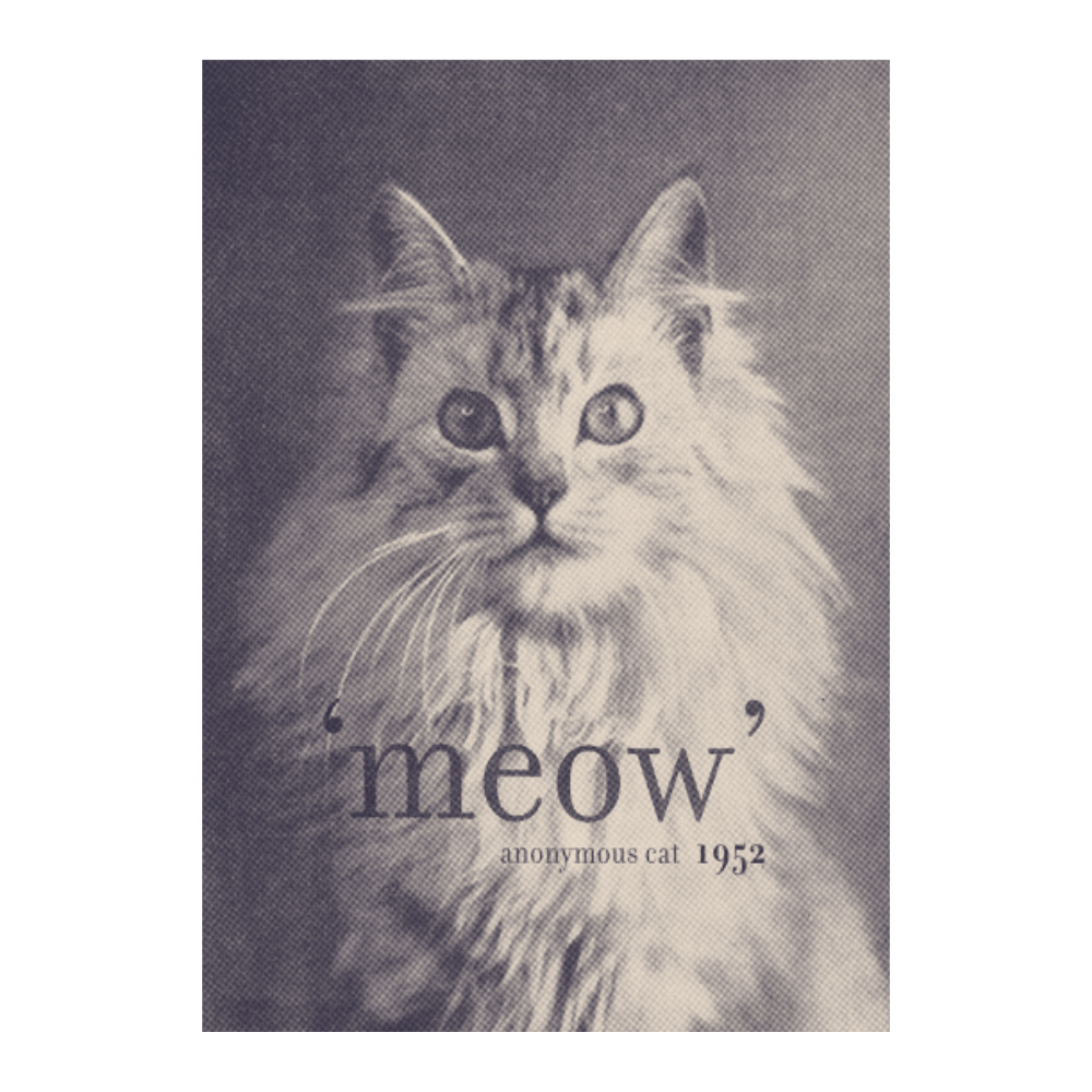 Quote Cat: Meow
