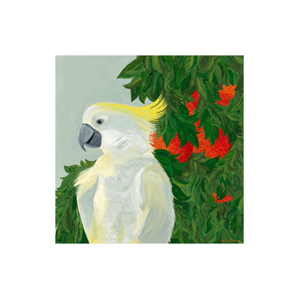 Raspberry Orange Cockatoo