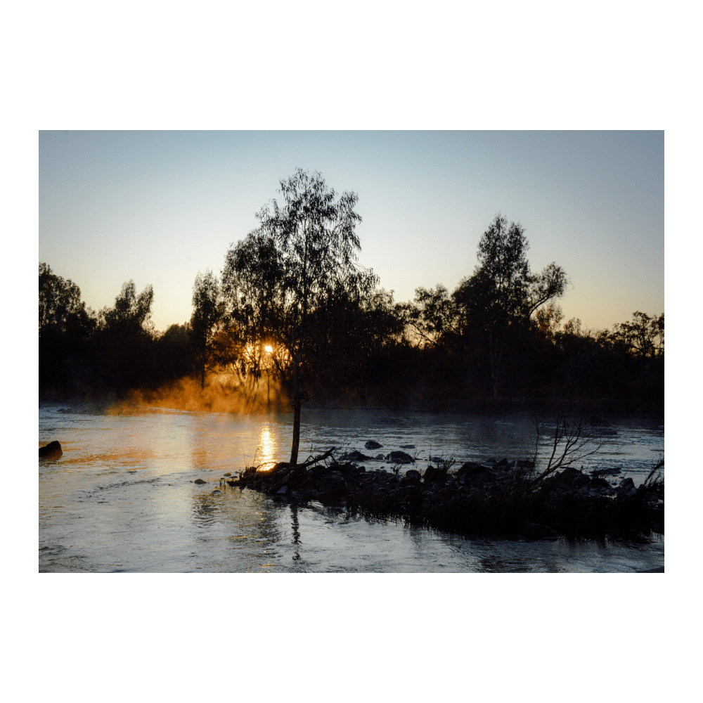 River Rays