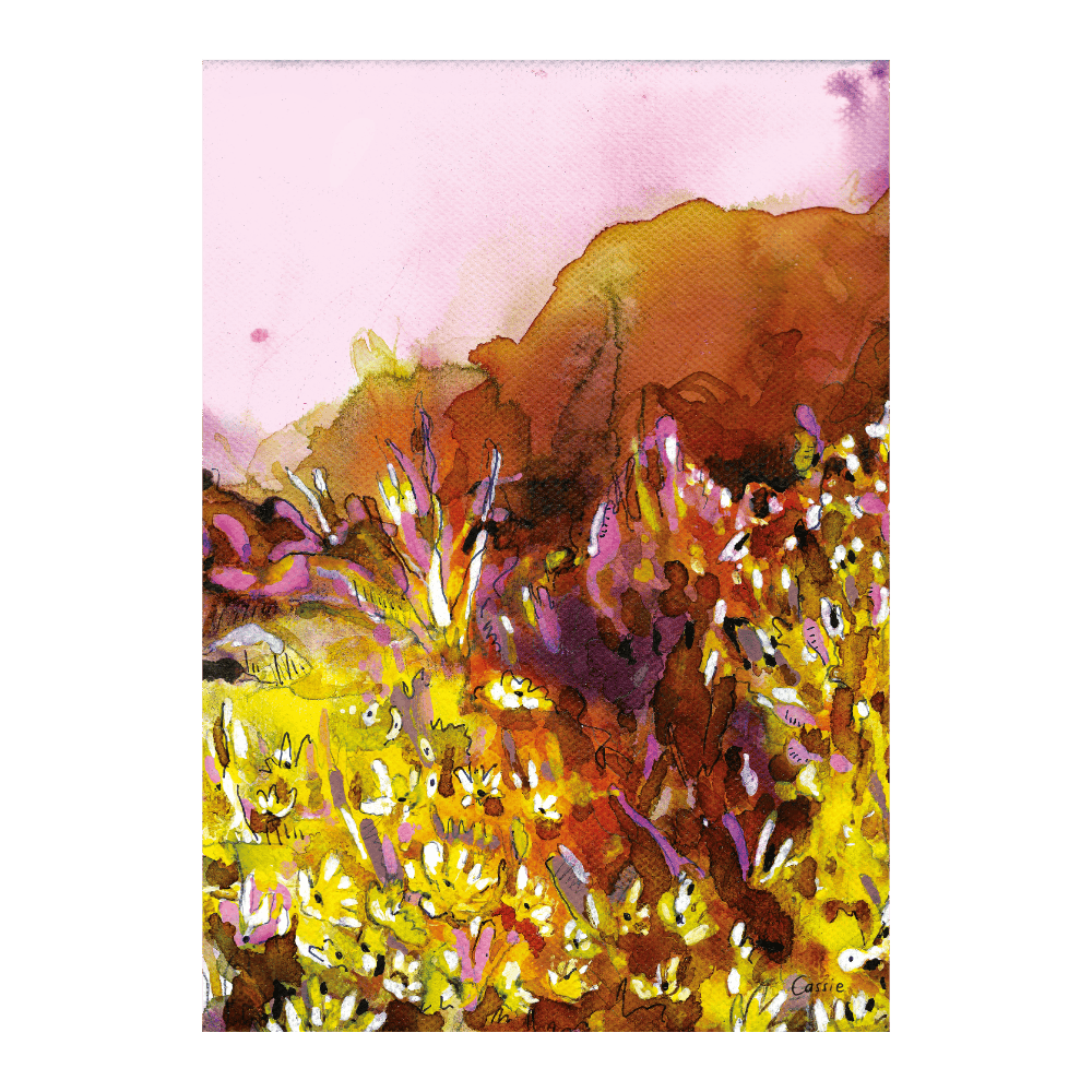 ‍Rooibos (100% off)