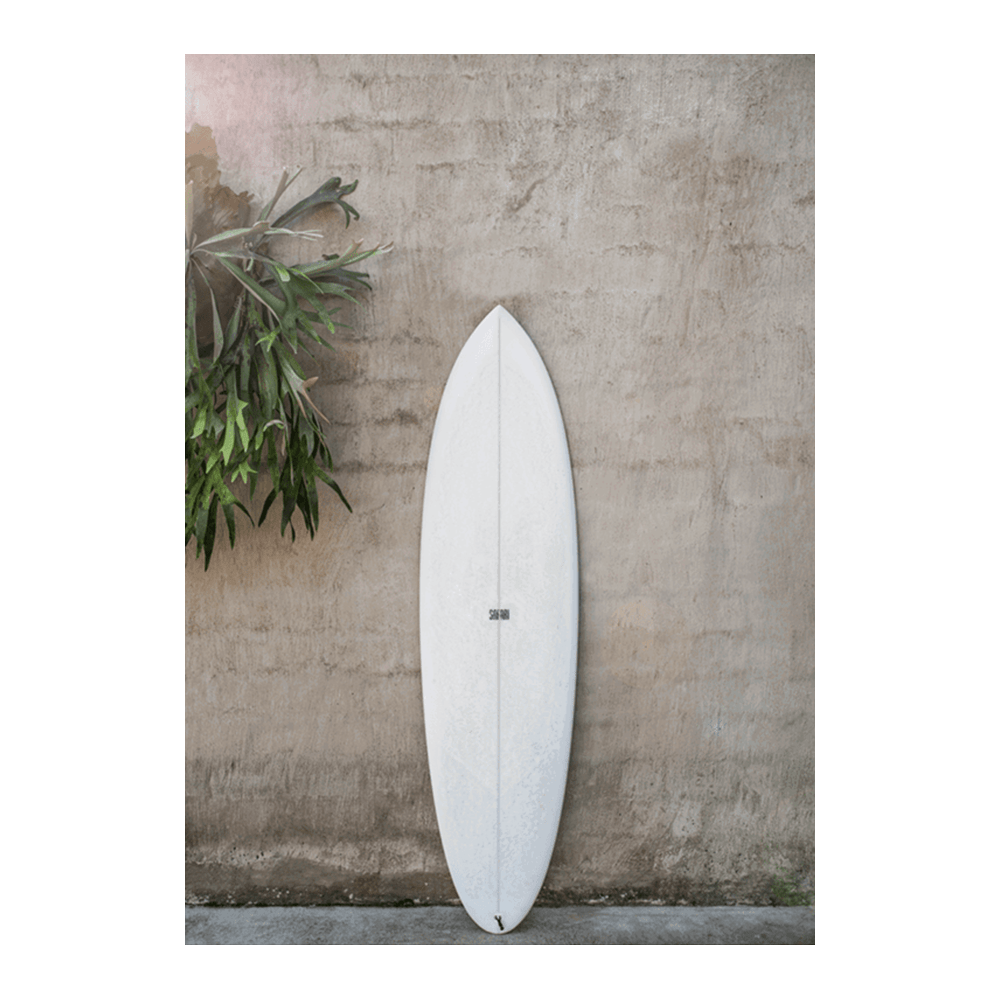 Safari Twinfin