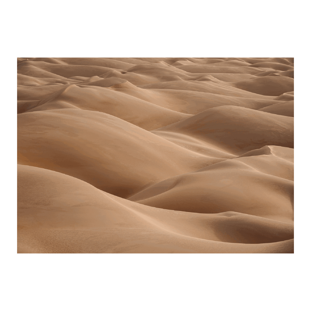 Sahara Desert Waves