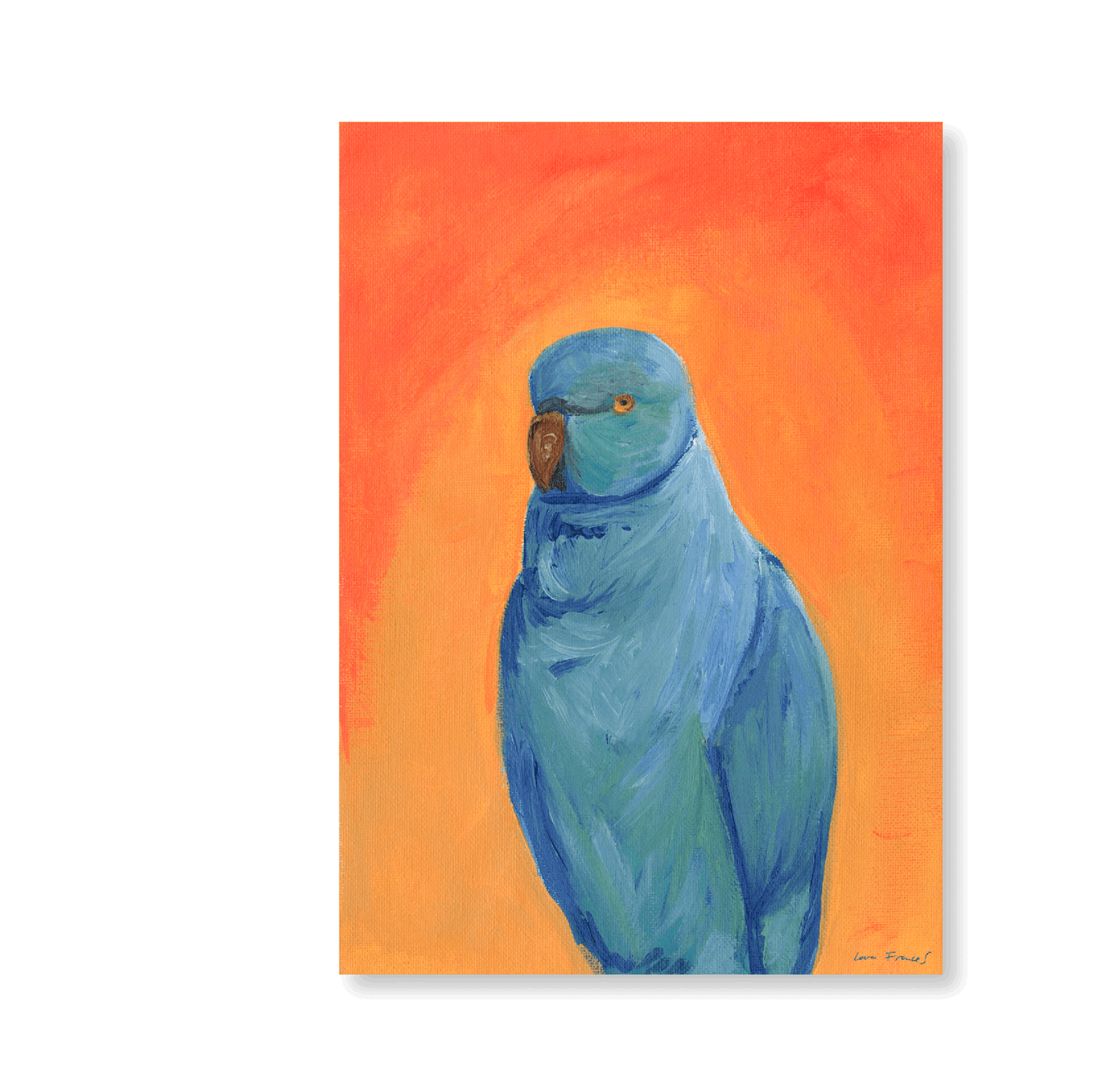 Scruffy Parakeet - Jasper & Jute