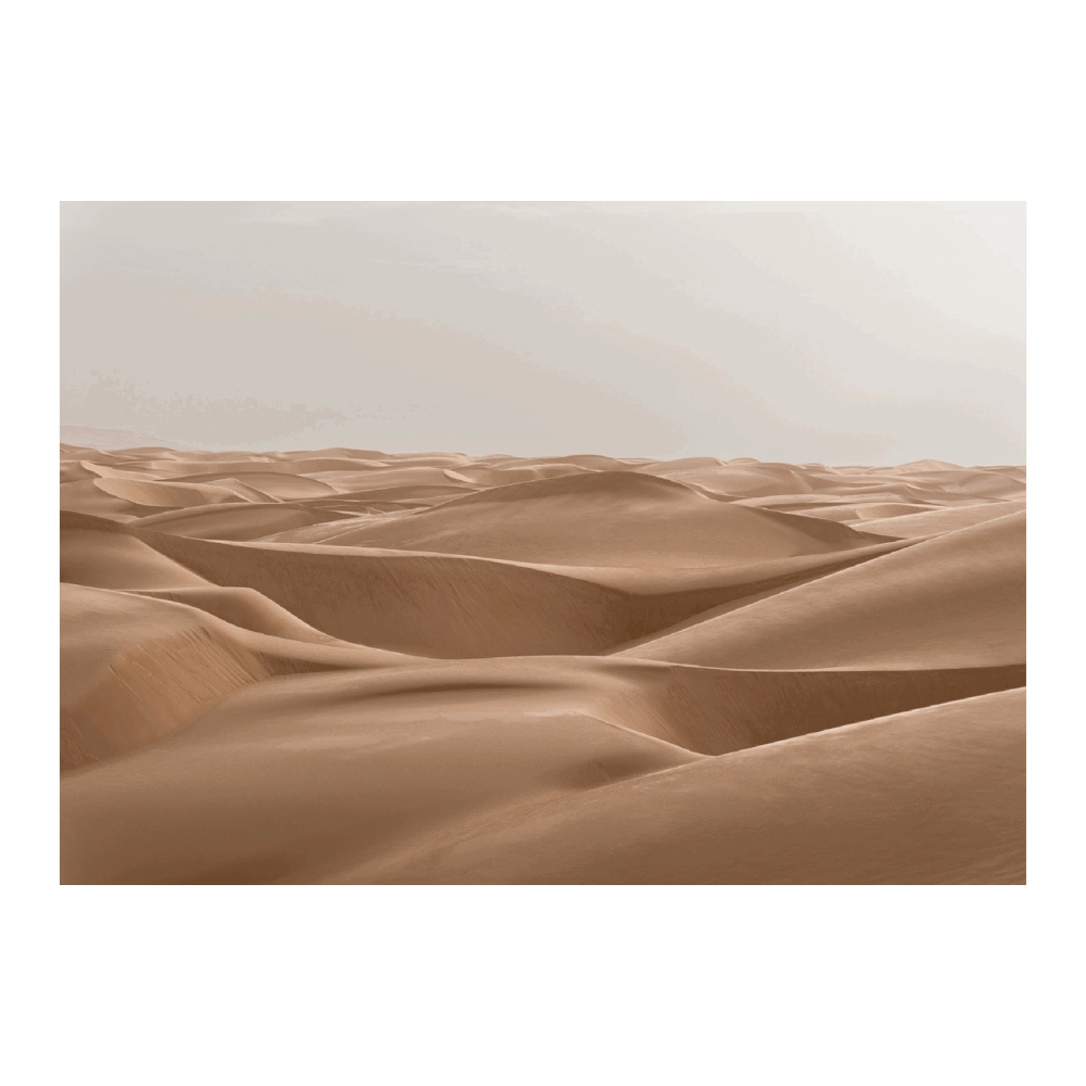Sea Of Sand Dunes