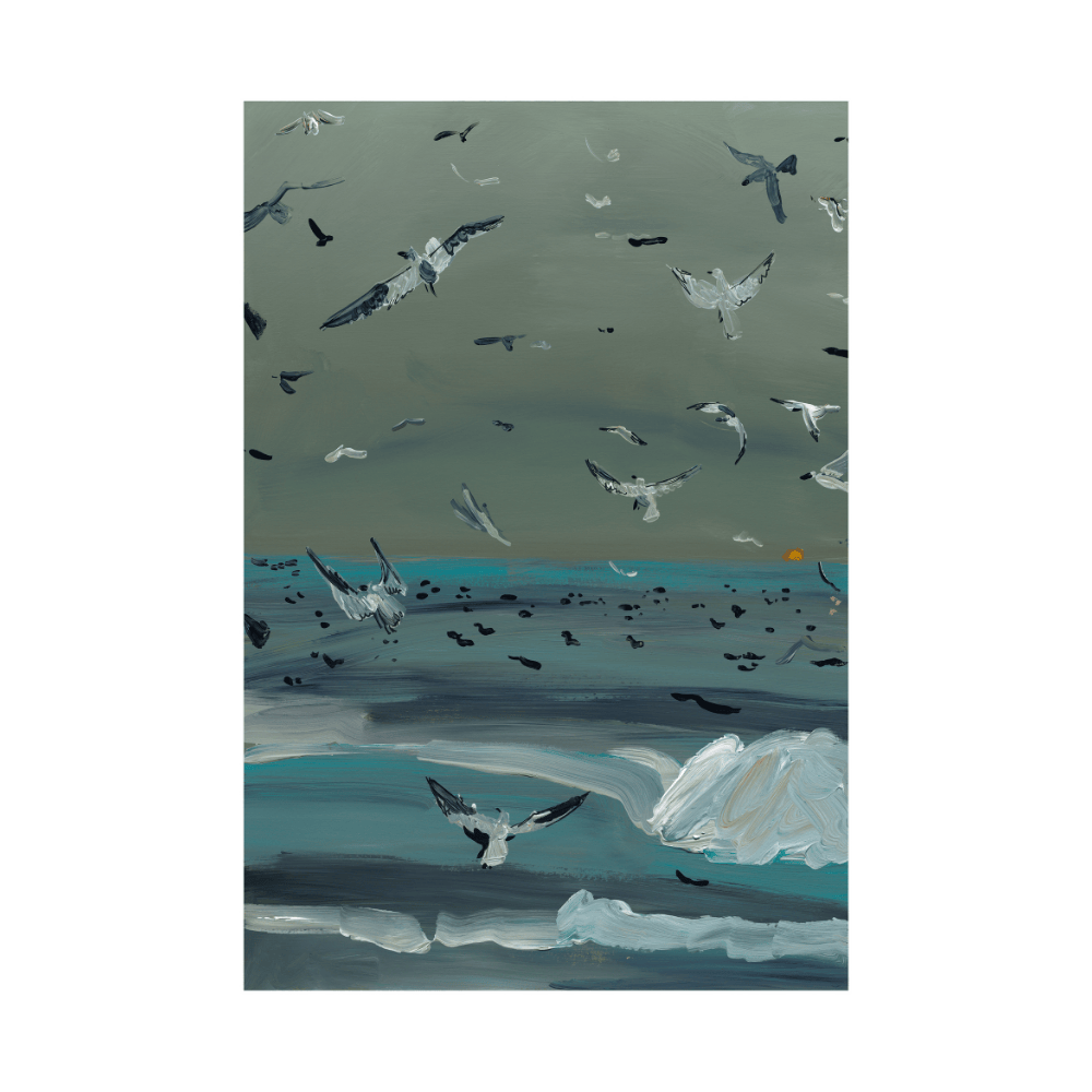 Seagull Storm