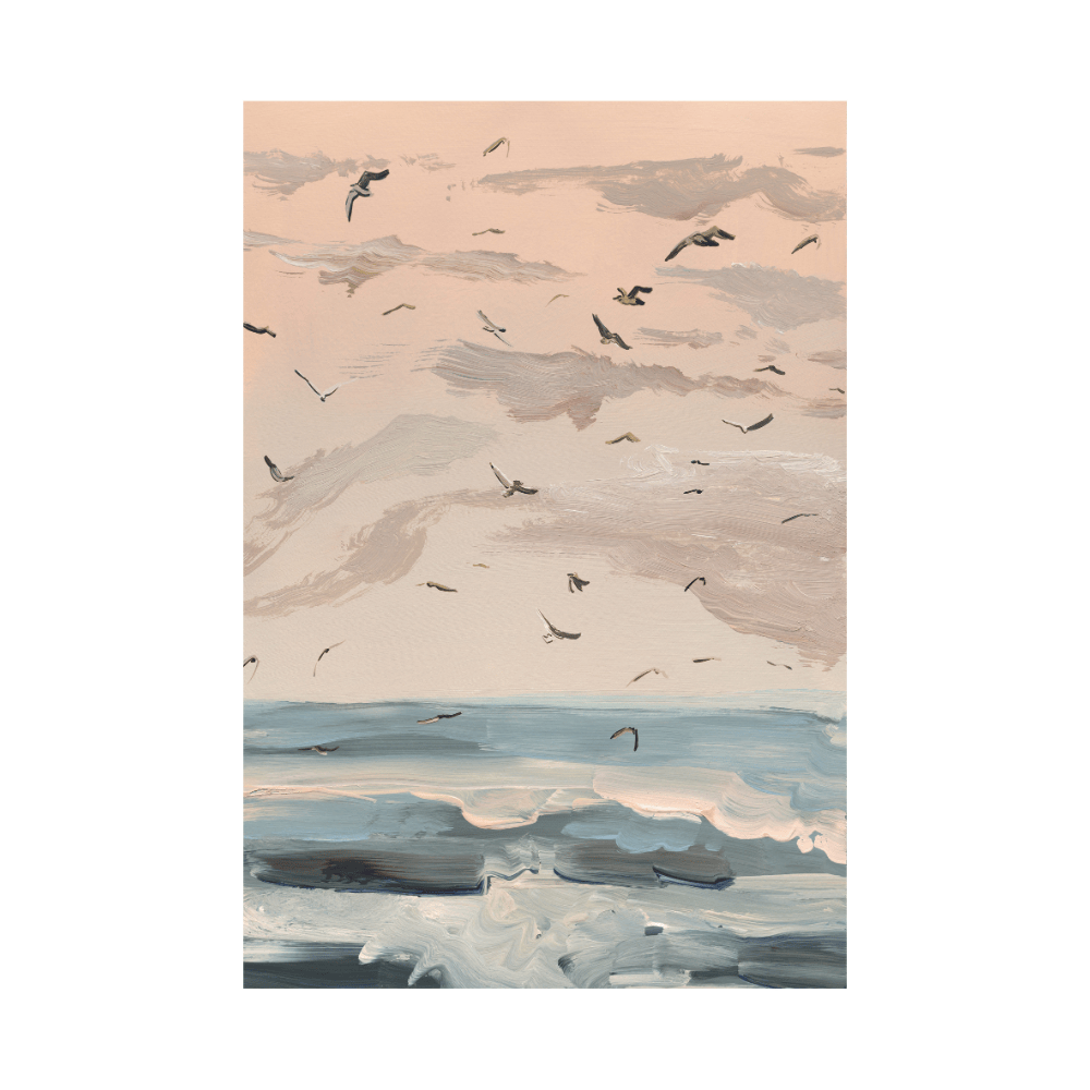 Seagulls At Dawn