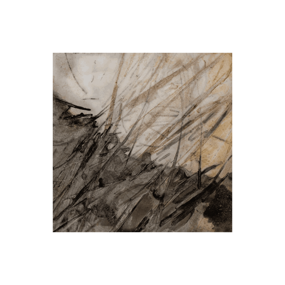 Seeded Dreams III