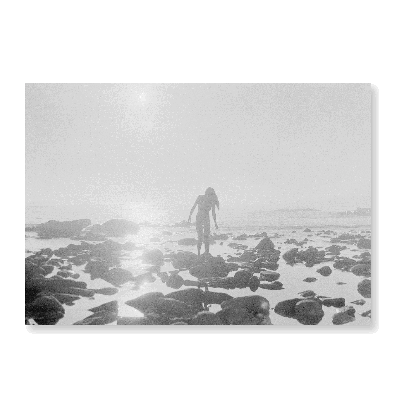 Setting Sun | Limited Edition - Jasper & Jute