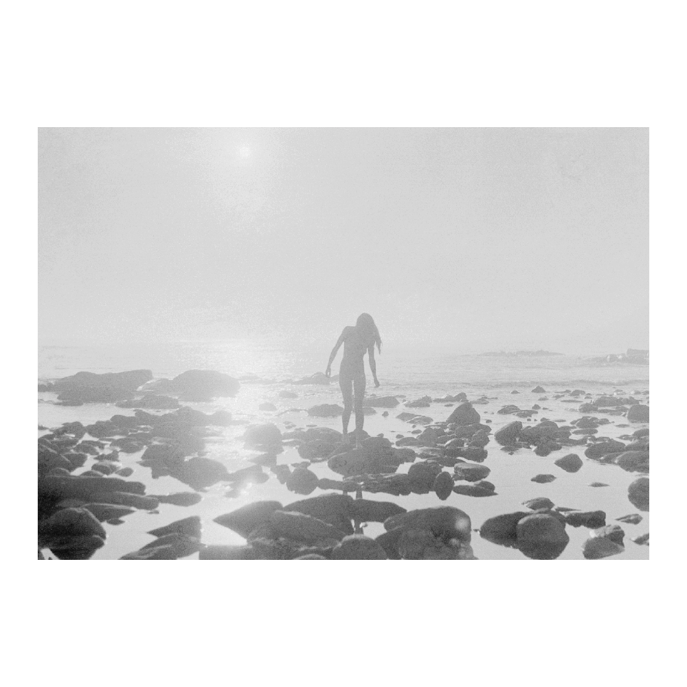 Setting Sun | Limited Edition