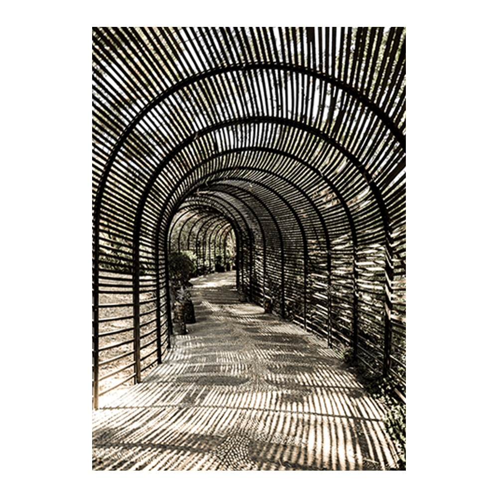 Shadow Garden