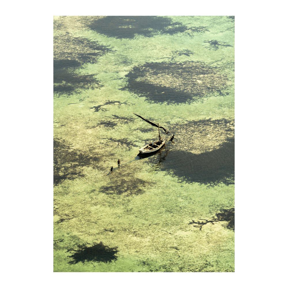 Shallow Fishing