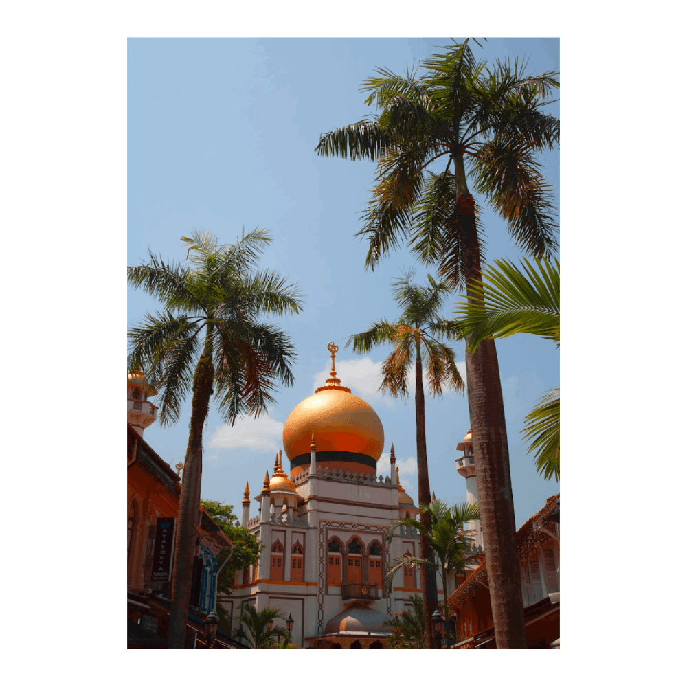 Singapore Travel I