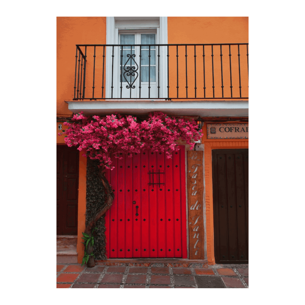 ‍Spain Travel II (100% off)