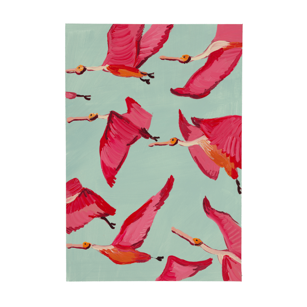 Roseate Spoonbills In Flight II