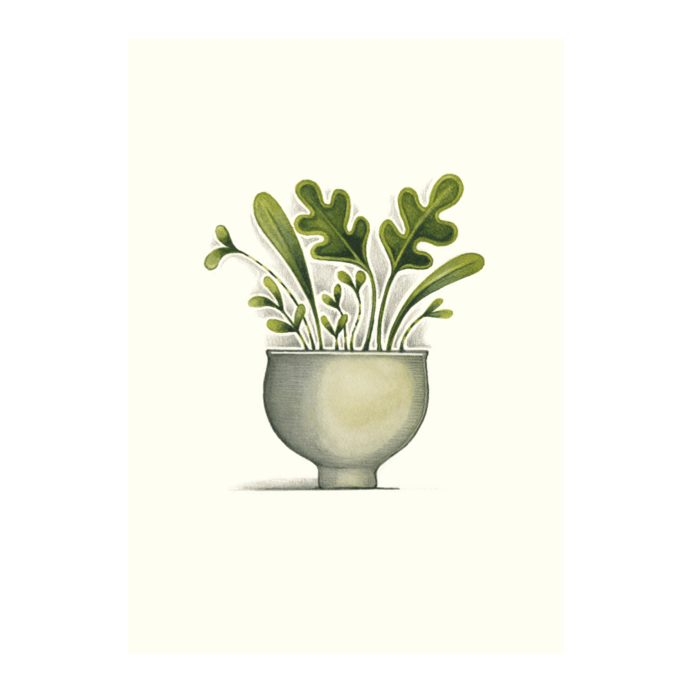 Stoneware Leaves | Limited Edition