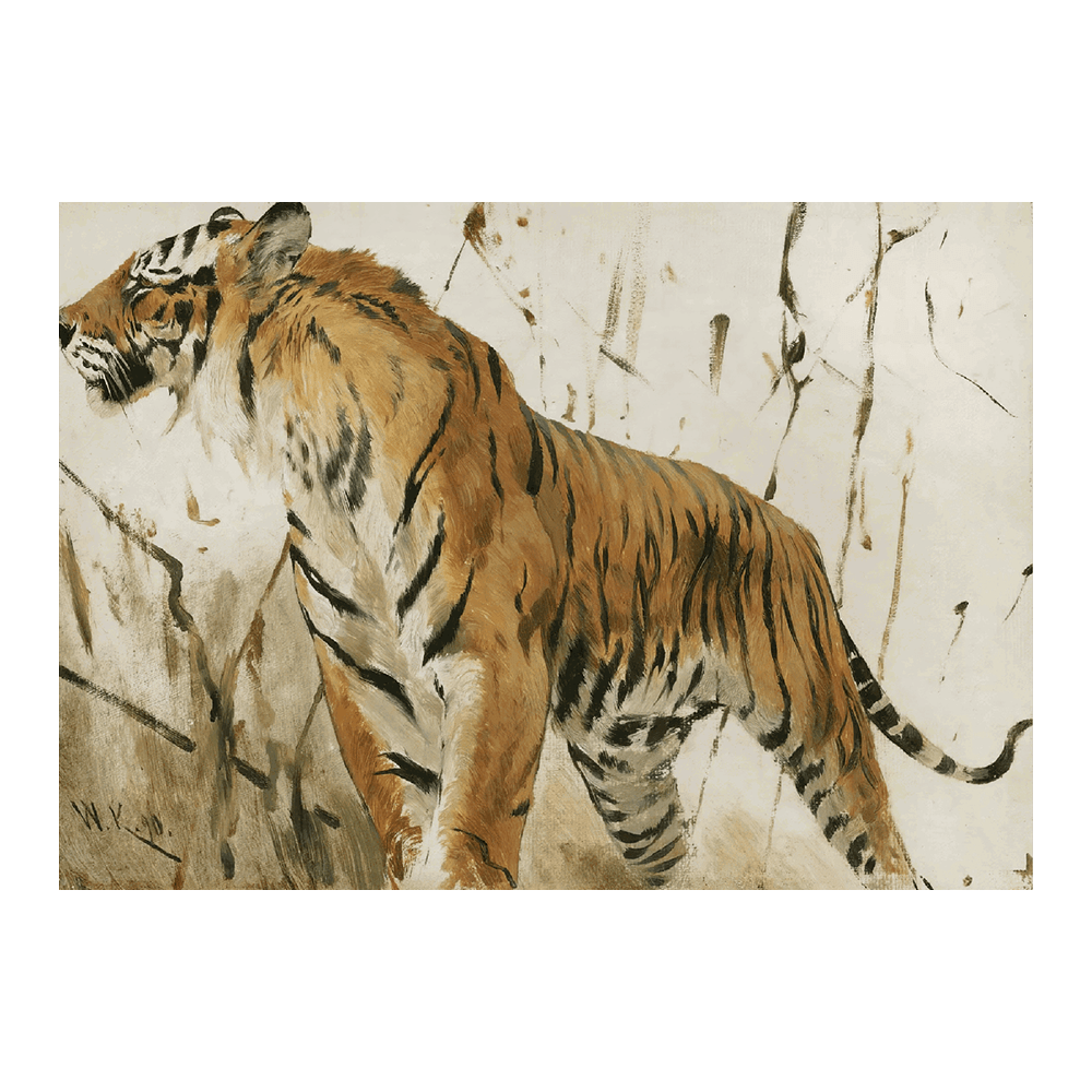 Study Of A Tiger (1890)