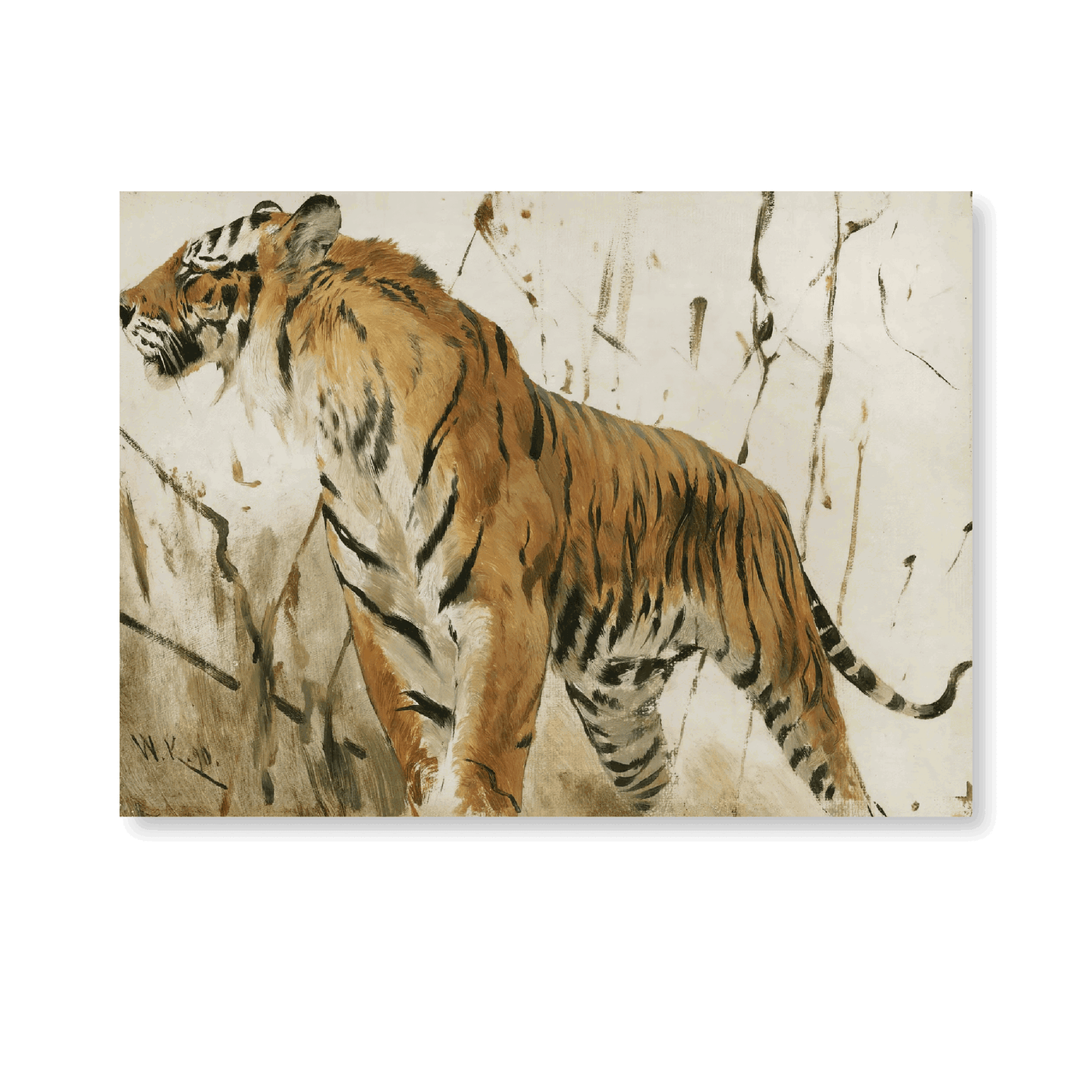 Study Of A Tiger (1890) - Jasper & Jute