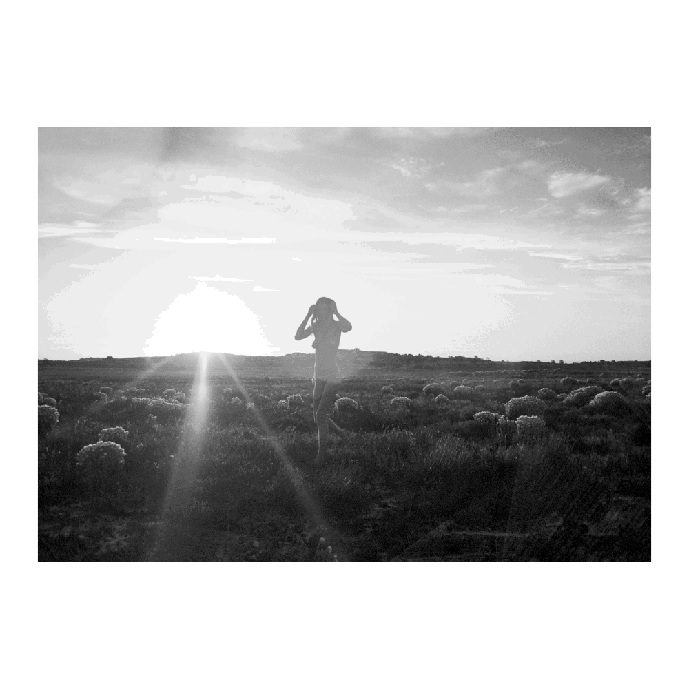 Sun Dance | Limited Edition