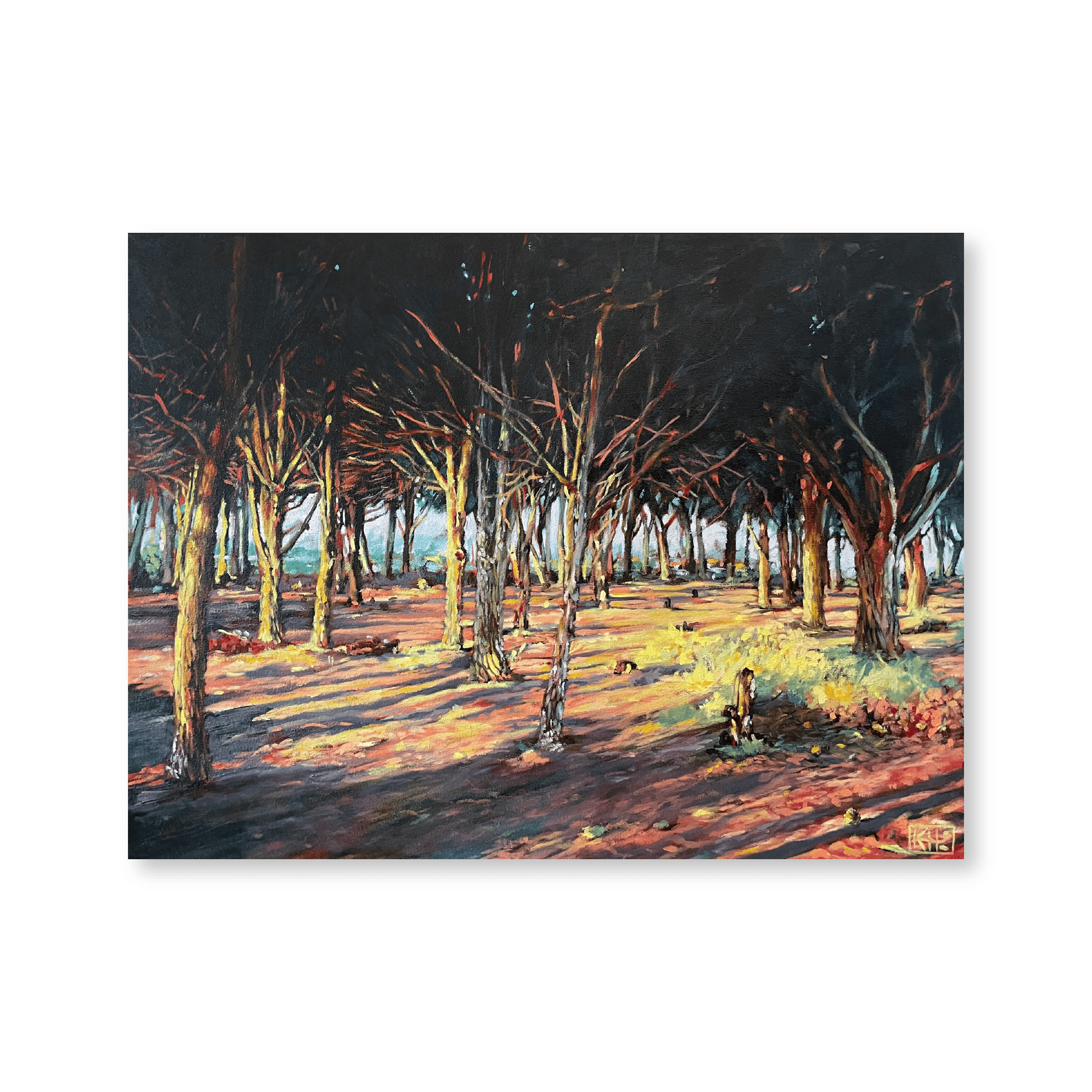 Sunrise | Original