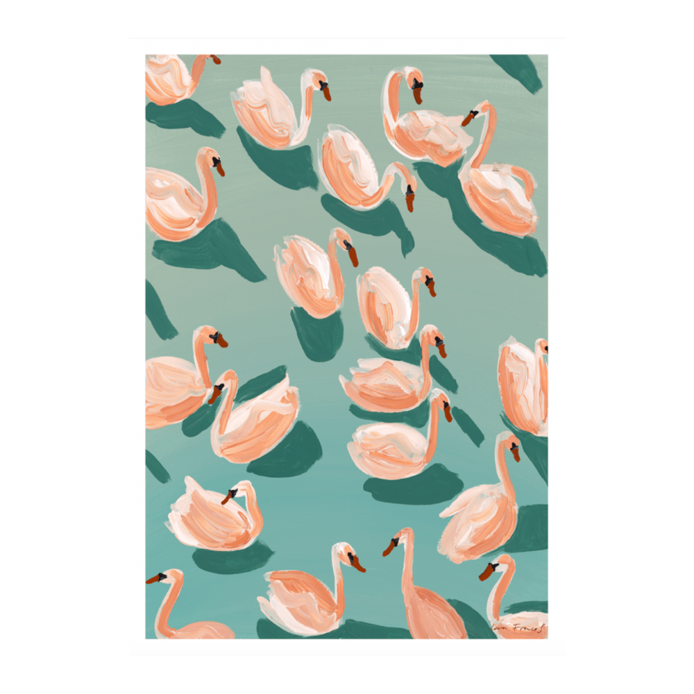 Swan Shadows | Limited Edition