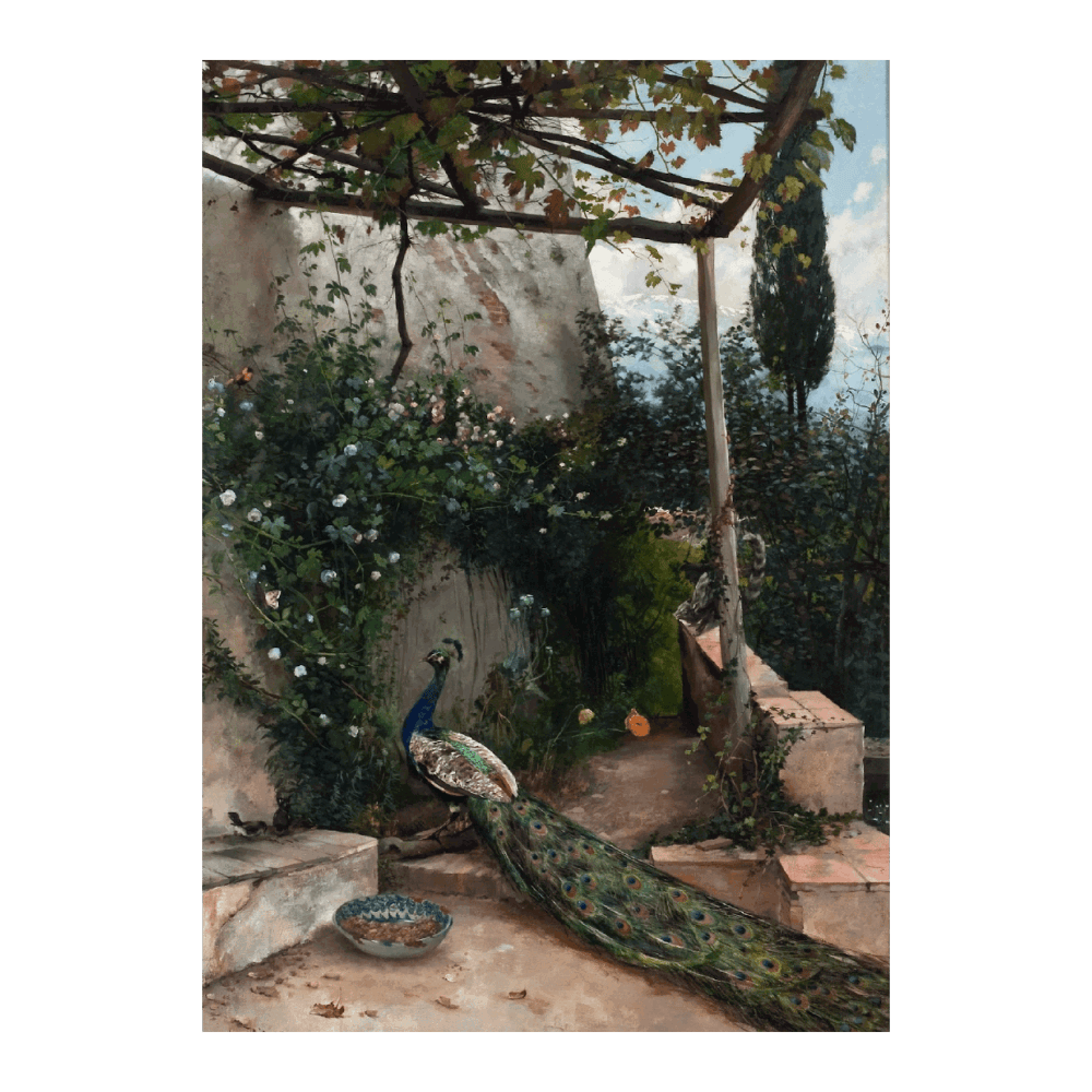 Terrace With Peacock, The Alhambra (1884)
