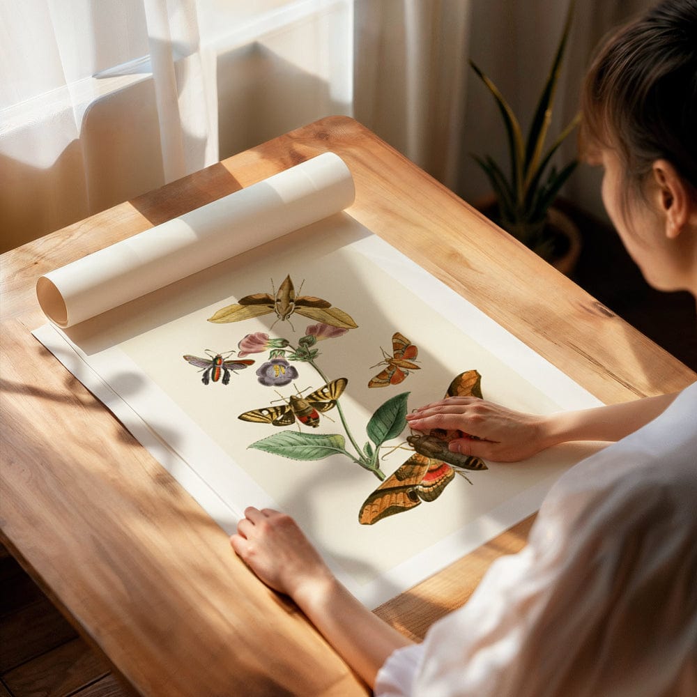 The Cabinet of Oriental Entomology Pl VII (1848)