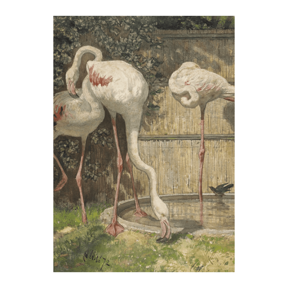 Three Flamingos Near A Basin (1872)