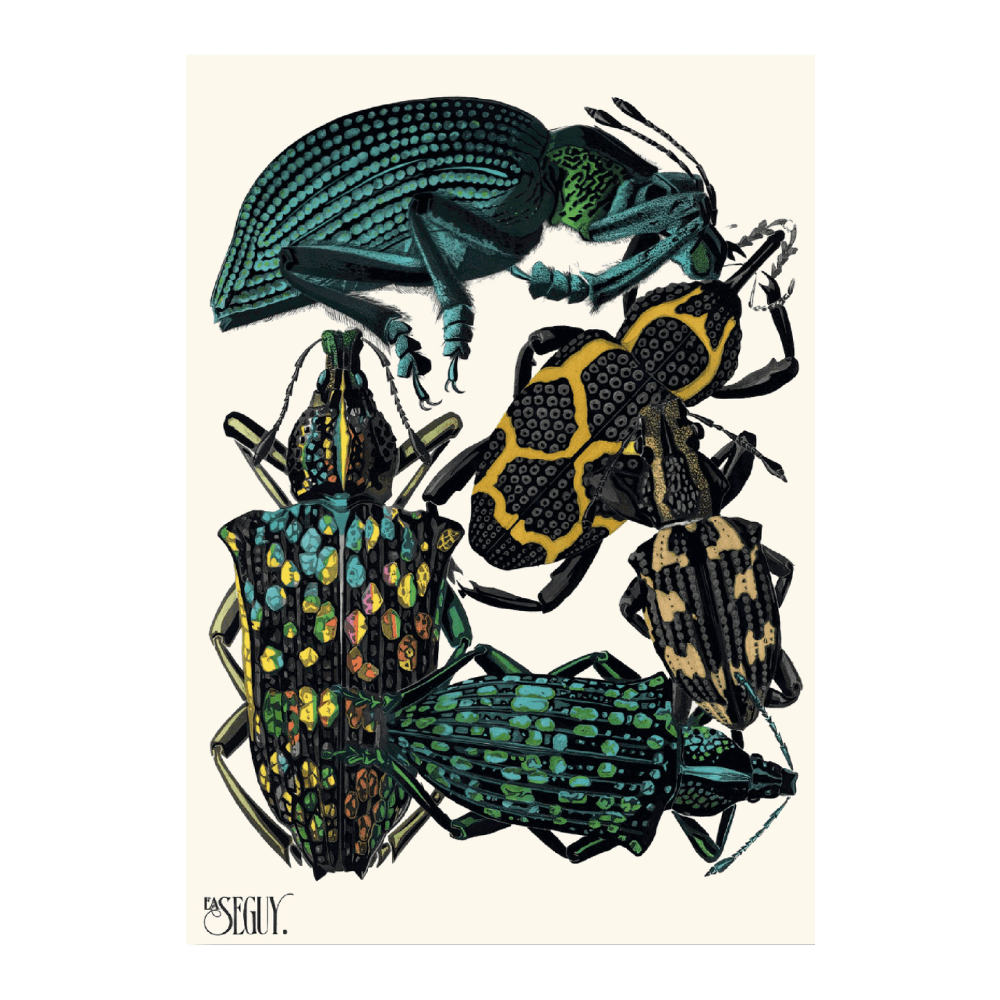 Insectes PI VI (1929)