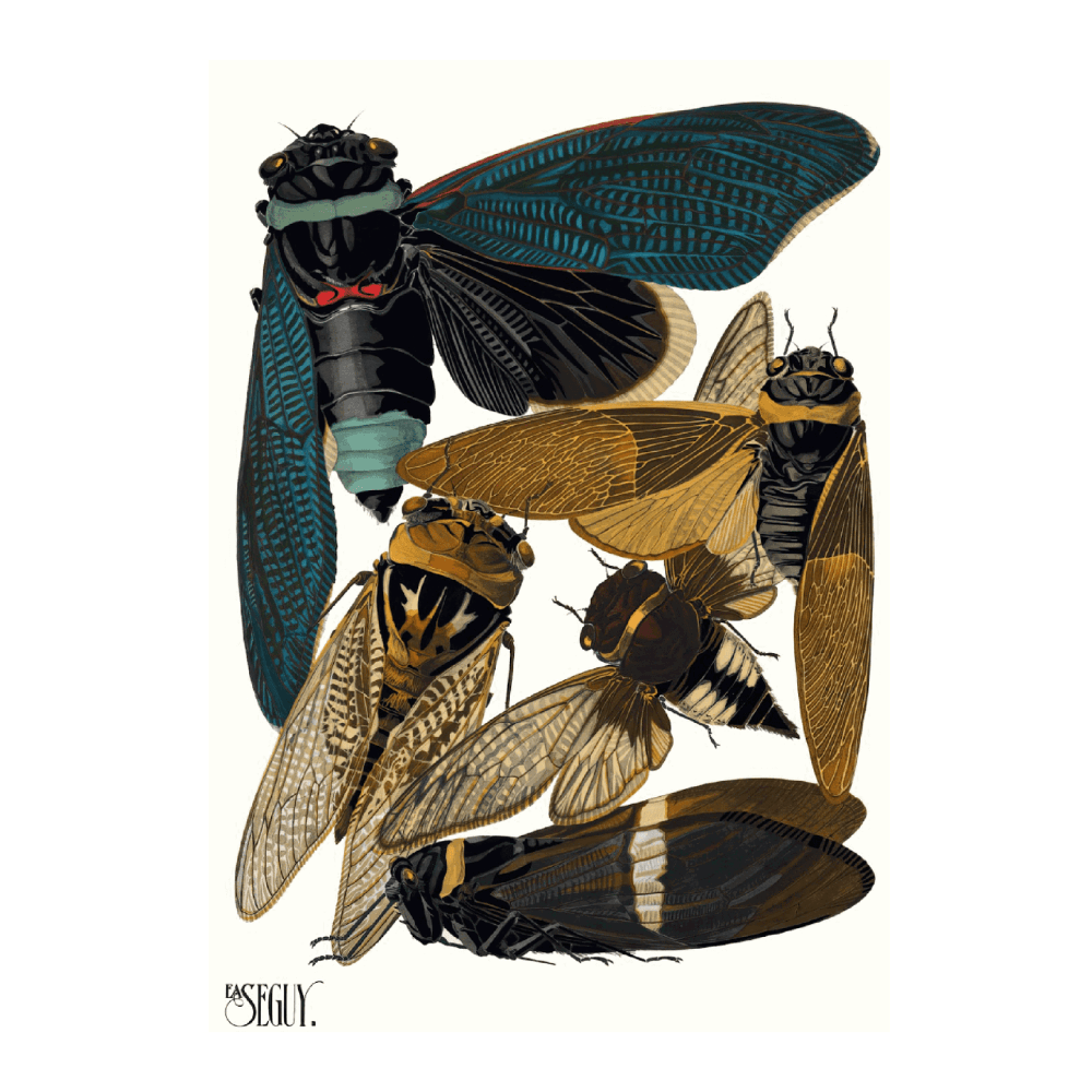 Insectes PI I (1929)