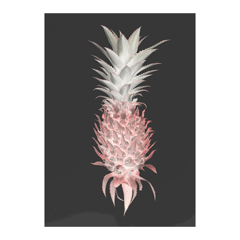 Strawberry Pine