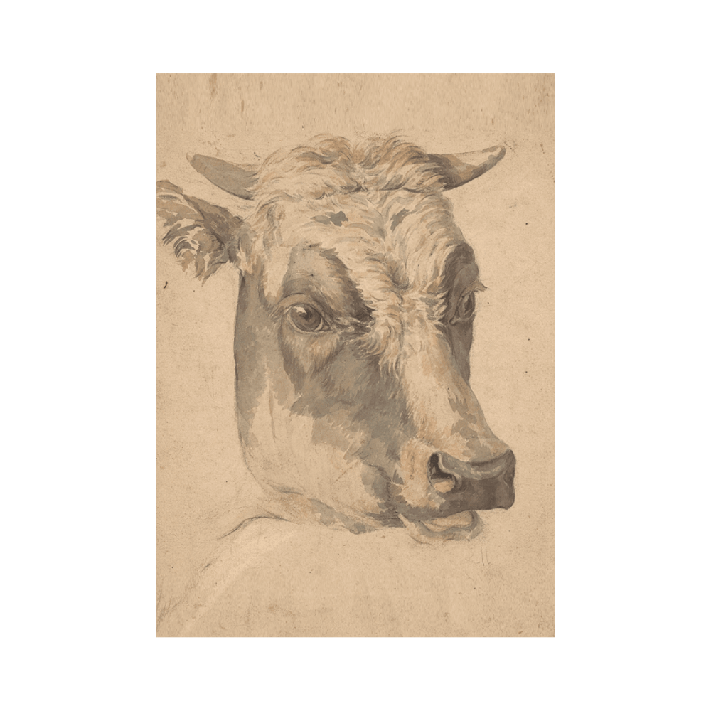‍Kop Van Een Koe (100% off)