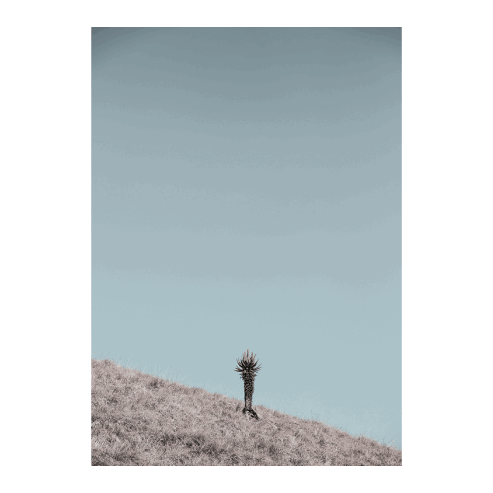 Solider