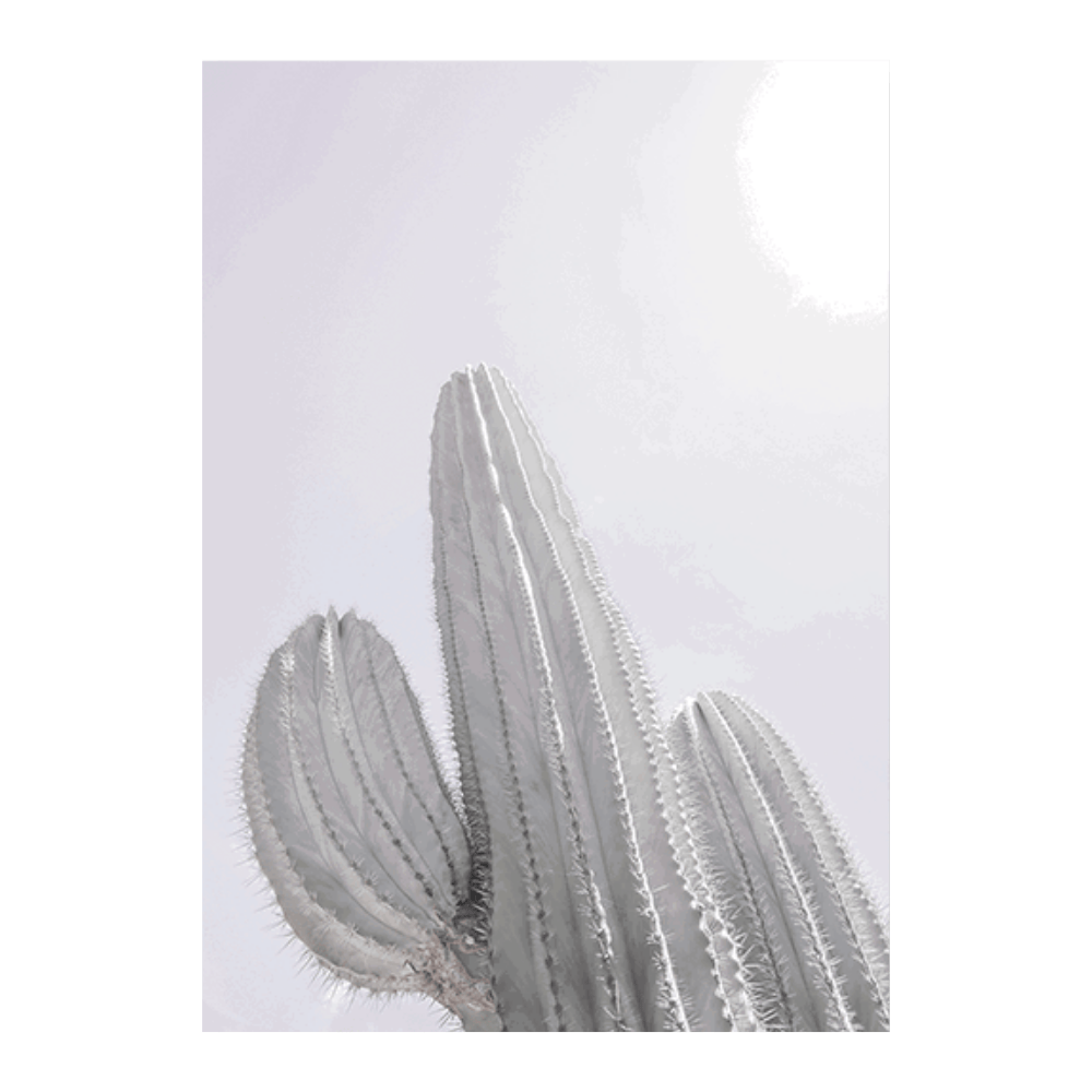 Saguaro_GK-09