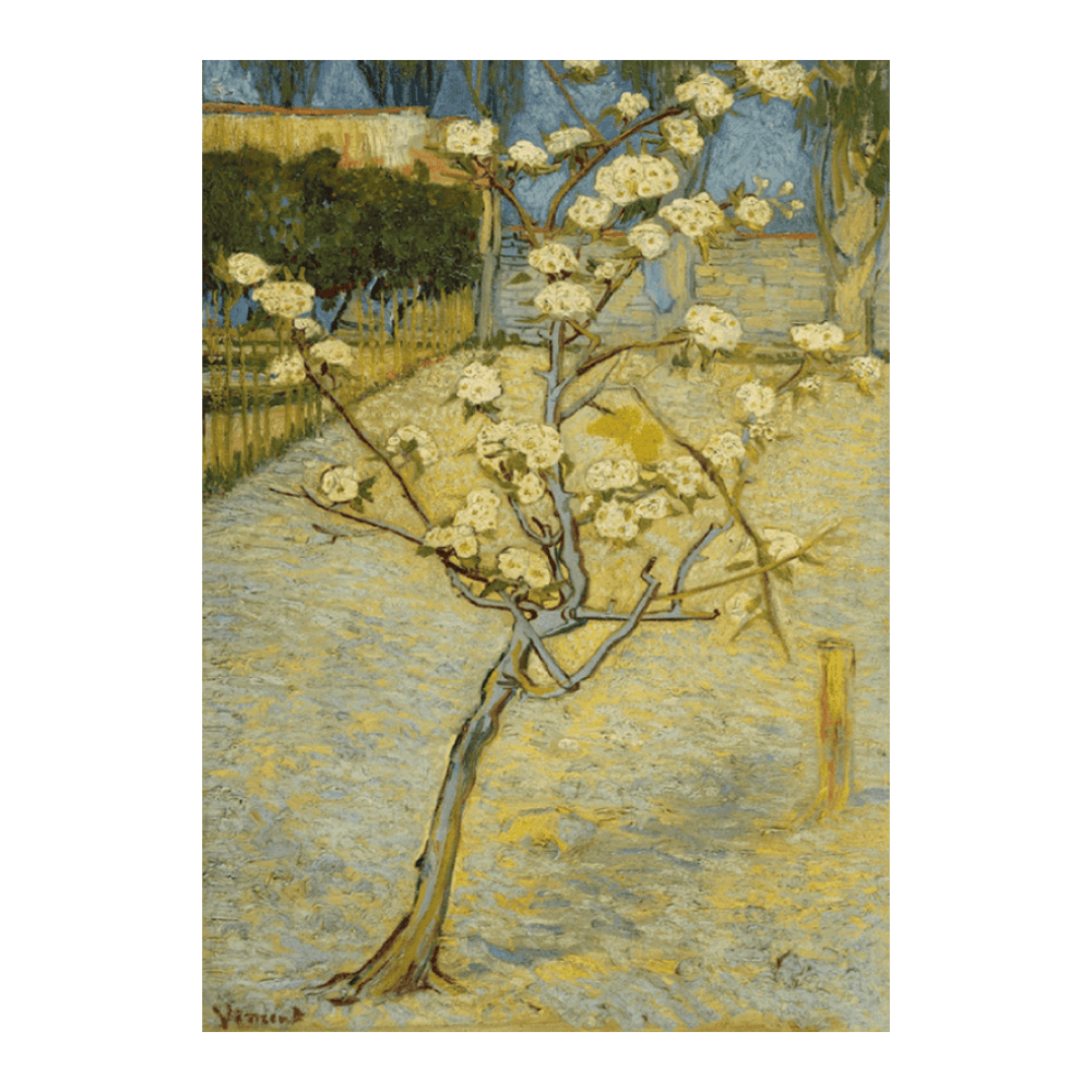 Van Gogh: "Small Pear Tree in Blossom (1888)"