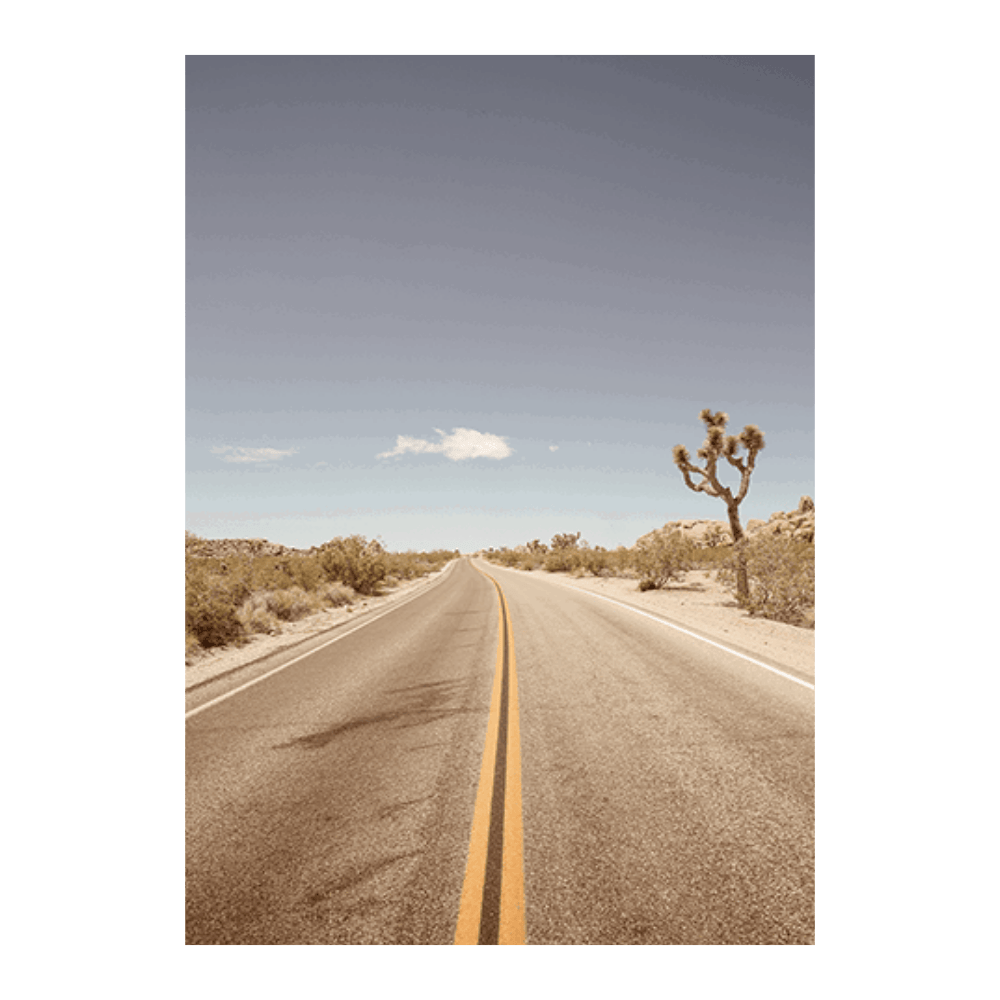 Road To Nowhere