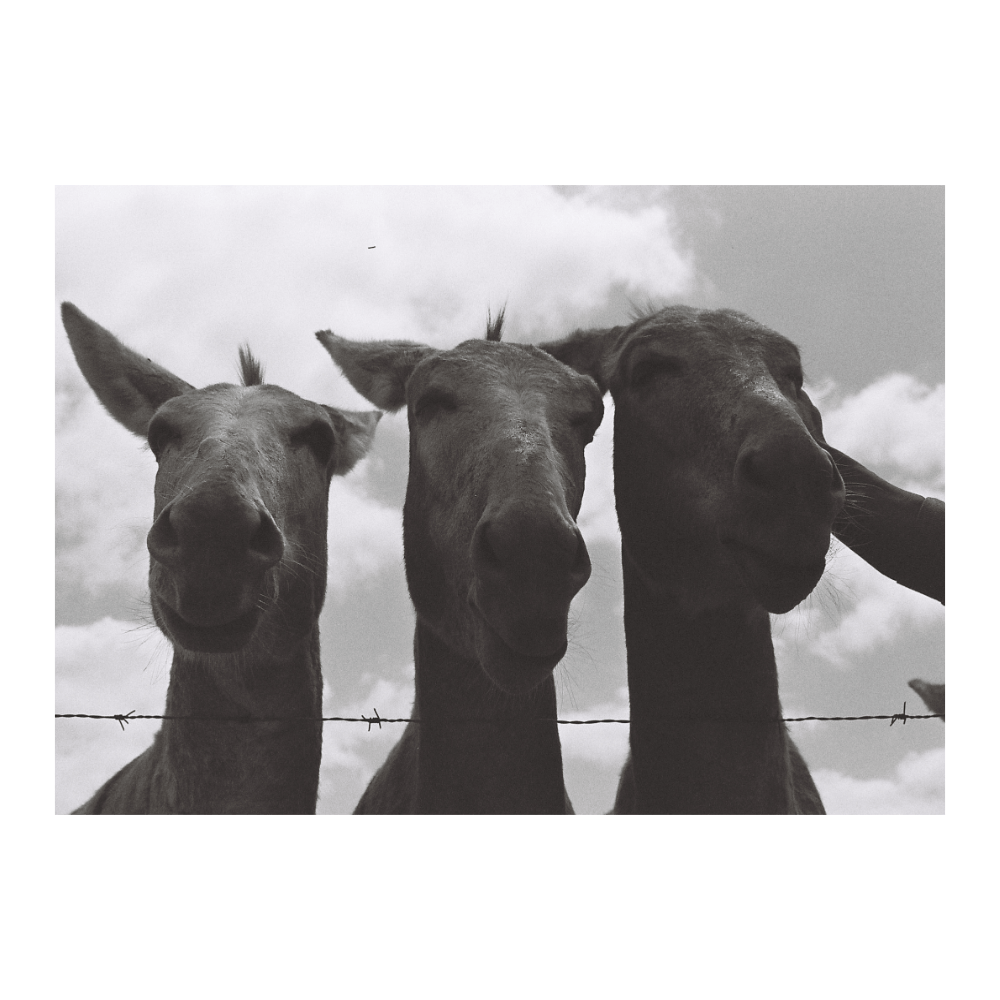 Three Smiles