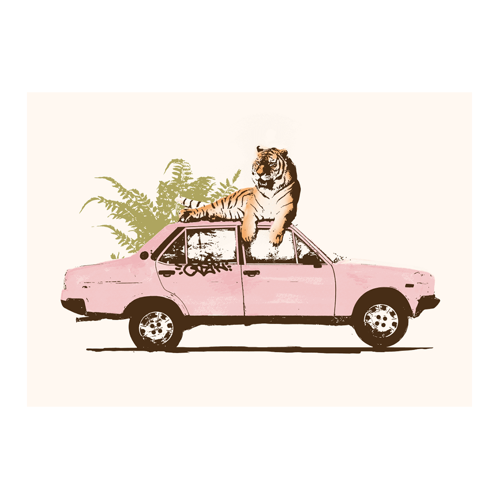 Tiger on Car