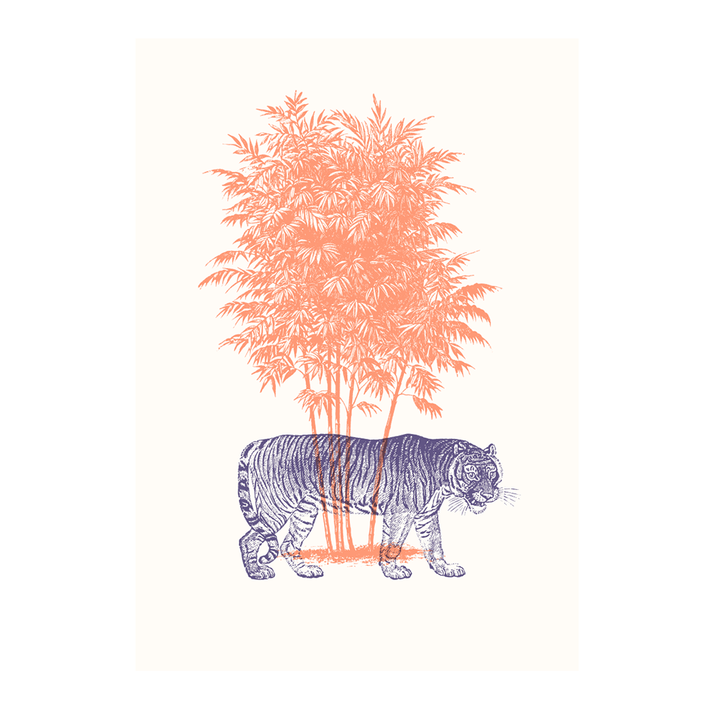 Tigers III