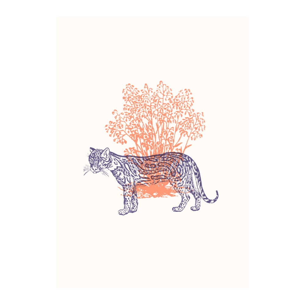 Tigers II