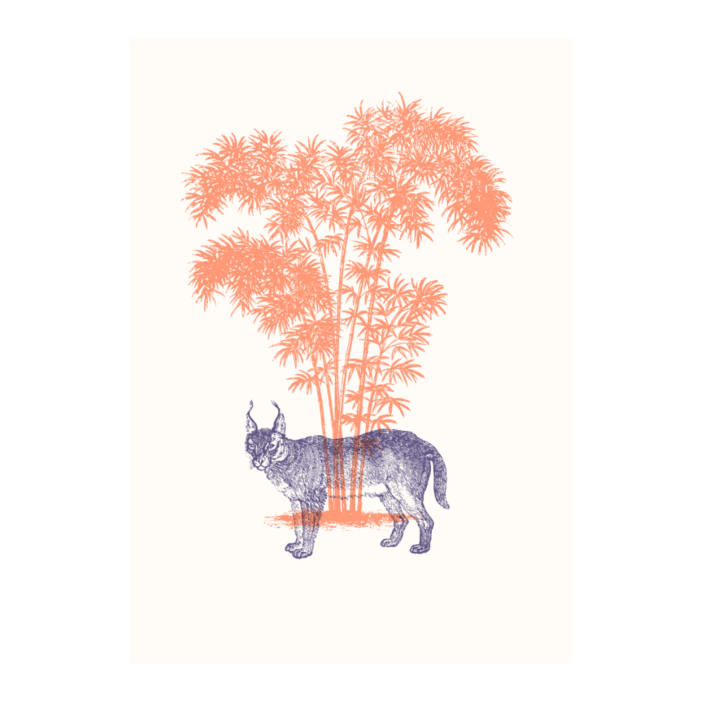 Tigers IV