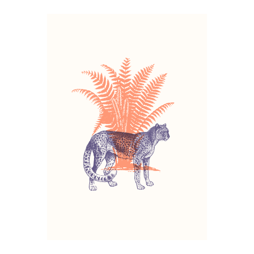 Tigers IX