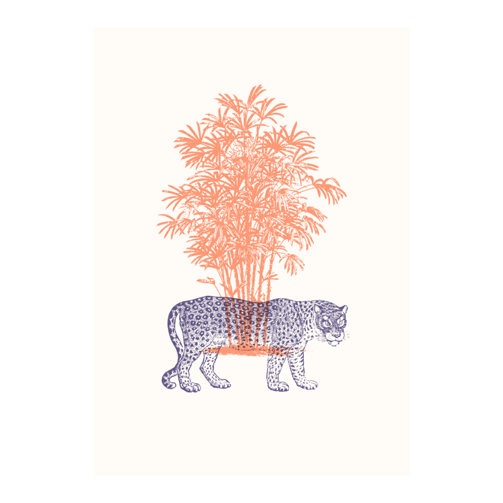 Tigers VIII