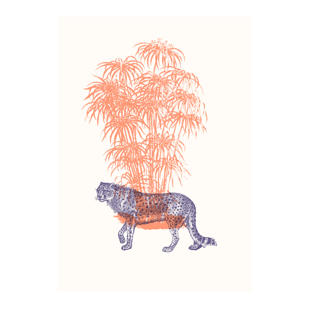 Tigers VI