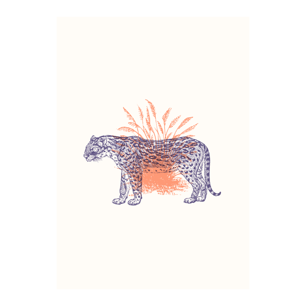 ‍Tigers XI (100% off)