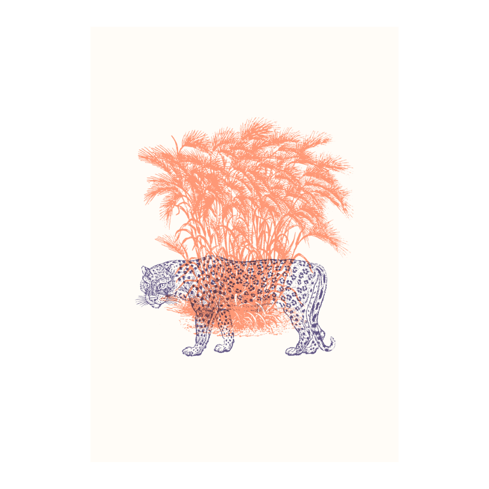 Tigers X