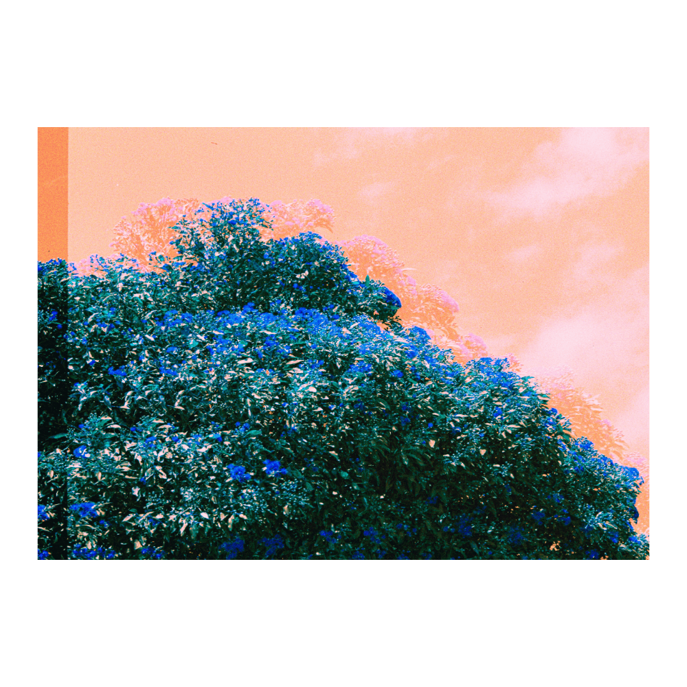 Tilted Light