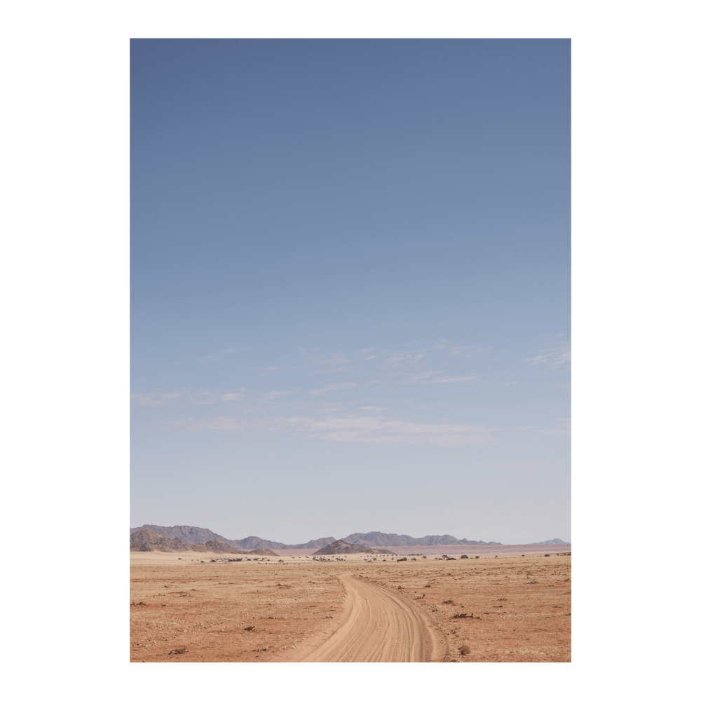 Tracks