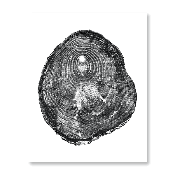 Tree Rings I - Jasper & Jute